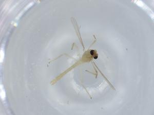  ( - BIOUG57479-D09)  @11 [ ] CreativeCommons - Attribution (2020) Centre for Biodiversity Genomics Centre for Biodiversity Genomics