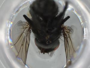  ( - BIOUG64082-D11)  @11 [ ] CreativeCommons - Attribution (2021) Centre for Biodiversity Genomics Centre for Biodiversity Genomics