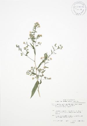  ( - BAR201)  @11 [ ] Copyright (2009) Steven Newmaster University of Guelph BIO Herbarium