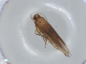  ( - BIOUG56757-F09)  @11 [ ] CreativeCommons - Attribution (2020) Centre for Biodiversity Genomics Centre for Biodiversity Genomics