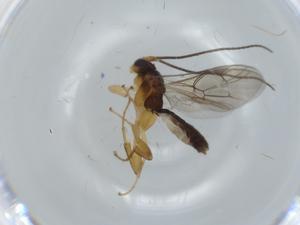  ( - BIOUG56764-E01)  @11 [ ] CreativeCommons - Attribution (2020) Centre for Biodiversity Genomics Centre for Biodiversity Genomics