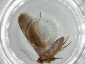  ( - BIOUG57248-A04)  @11 [ ] CreativeCommons - Attribution (2020) Centre for Biodiversity Genomics Centre for Biodiversity Genomics