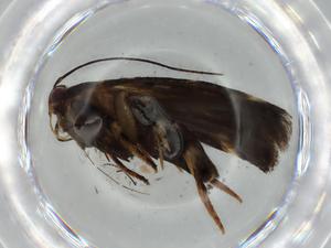  ( - BIOUG57248-C09)  @11 [ ] CreativeCommons - Attribution (2020) Centre for Biodiversity Genomics Centre for Biodiversity Genomics