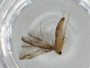  ( - BIOUG57248-D12)  @11 [ ] CreativeCommons - Attribution (2020) Centre for Biodiversity Genomics Centre for Biodiversity Genomics