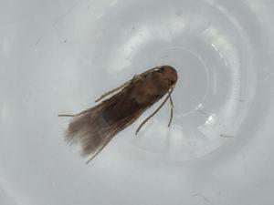  ( - BIOUG57259-H09)  @11 [ ] CreativeCommons - Attribution (2020) Centre for Biodiversity Genomics Centre for Biodiversity Genomics