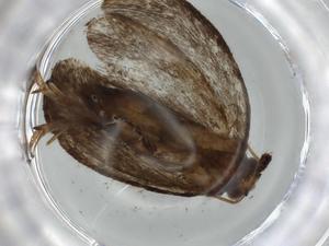  ( - BIOUG57282-H10)  @11 [ ] CreativeCommons - Attribution (2020) Centre for Biodiversity Genomics Centre for Biodiversity Genomics