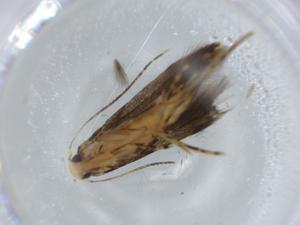  ( - BIOUG57283-A03)  @11 [ ] CreativeCommons - Attribution (2020) Centre for Biodiversity Genomics Centre for Biodiversity Genomics