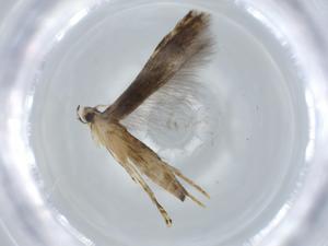  ( - BIOUG58644-G08)  @11 [ ] CreativeCommons - Attribution (2020) Centre for Biodiversity Genomics Centre for Biodiversity Genomics