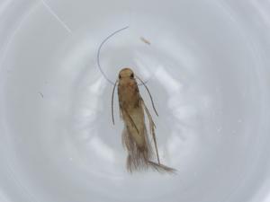  ( - BIOUG57044-F01)  @11 [ ] CreativeCommons - Attribution (2020) Centre for Biodiversity Genomics Centre for Biodiversity Genomics