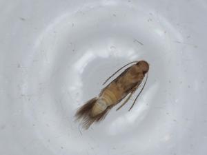  ( - BIOUG57060-B05)  @11 [ ] CreativeCommons - Attribution (2020) Centre for Biodiversity Genomics Centre for Biodiversity Genomics