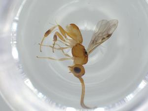  ( - BIOUG57063-D01)  @11 [ ] CreativeCommons - Attribution (2020) Centre for Biodiversity Genomics Centre for Biodiversity Genomics