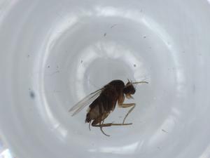  ( - BIOUG57712-A01)  @11 [ ] CreativeCommons - Attribution (2020) Centre for Biodiversity Genomics Centre for Biodiversity Genomics