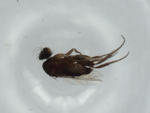  ( - BIOUG57713-G06)  @11 [ ] CreativeCommons - Attribution (2020) Centre for Biodiversity Genomics Centre for Biodiversity Genomics