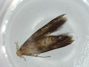  ( - BIOUG58587-B10)  @11 [ ] CreativeCommons - Attribution (2020) Centre for Biodiversity Genomics Centre for Biodiversity Genomics