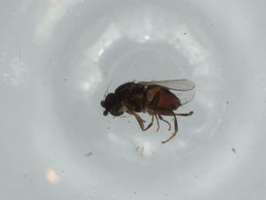  ( - BIOUG59559-D07)  @11 [ ] CreativeCommons - Attribution (2020) Centre for Biodiversity Genomics Centre for Biodiversity Genomics