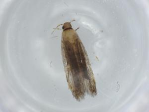  ( - BIOUG64307-B12)  @11 [ ] CreativeCommons - Attribution (2021) Centre for Biodiversity Genomics Centre for Biodiversity Genomics