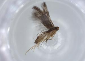  ( - BIOUG57536-G02)  @11 [ ] CreativeCommons - Attribution (2020) Centre for Biodiversity Genomics Centre for Biodiversity Genomics