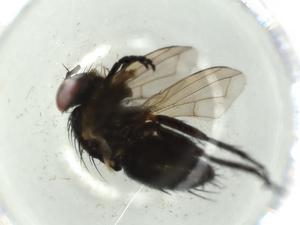  ( - BIOUG52466-H10)  @11 [ ] CreativeCommons - Attribution (2020) Centre for Biodiversity Genomics Centre for Biodiversity Genomics