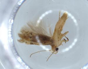  ( - BIOUG53365-F02)  @11 [ ] CreativeCommons - Attribution (2020) Centre for Biodiversity Genomics Centre for Biodiversity Genomics