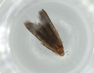  ( - BIOUG61823-C08)  @11 [ ] CreativeCommons - Attribution (2020) Centre for Biodiversity Genomics Centre for Biodiversity Genomics