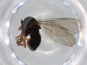  ( - BIOUG63048-E09)  @11 [ ] CreativeCommons - Attribution (2020) Centre for Biodiversity Genomics Centre for Biodiversity Genomics