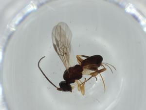  ( - BIOUG61949-F04)  @11 [ ] CreativeCommons - Attribution (2020) Centre for Biodiversity Genomics Centre for Biodiversity Genomics