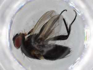  ( - BIOUG61980-G10)  @11 [ ] CreativeCommons - Attribution (2020) Centre for Biodiversity Genomics Centre for Biodiversity Genomics