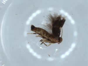  ( - BIOUG54057-D02)  @11 [ ] CreativeCommons - Attribution (2020) Centre for Biodiversity Genomics Centre for Biodiversity Genomics