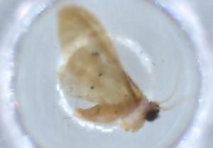  ( - BIOUG54123-D09)  @11 [ ] CreativeCommons - Attribution (2020) Centre for Biodiversity Genomics Centre for Biodiversity Genomics