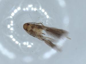  ( - BIOUG54280-E05)  @11 [ ] CreativeCommons - Attribution (2020) Centre for Biodiversity Genomics Centre for Biodiversity Genomics