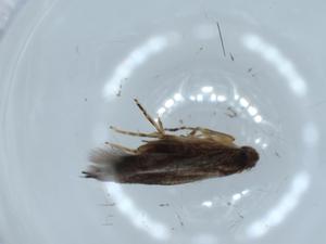  ( - BIOUG54280-G04)  @11 [ ] CreativeCommons - Attribution (2020) Centre for Biodiversity Genomics Centre for Biodiversity Genomics