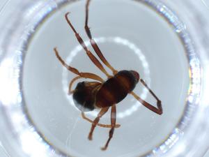  ( - BIOUG55339-F10)  @11 [ ] CreativeCommons - Attribution (2020) Centre for Biodiversity Genomics Centre for Biodiversity Genomics