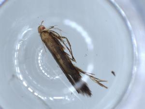  ( - BIOUG54310-A10)  @11 [ ] CreativeCommons - Attribution (2020) Centre for Biodiversity Genomics Centre for Biodiversity Genomics