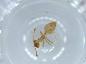  ( - BIOUG54835-B12)  @11 [ ] CreativeCommons - Attribution (2020) Centre for Biodiversity Genomics Centre for Biodiversity Genomics