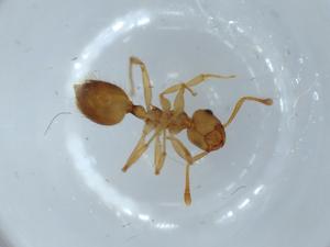  ( - BIOUG54311-H04)  @11 [ ] CreativeCommons - Attribution (2020) Centre for Biodiversity Genomics Centre for Biodiversity Genomics