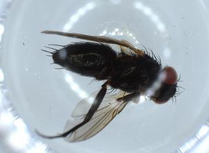  ( - BIOUG54534-B10)  @11 [ ] CreativeCommons - Attribution (2020) Centre for Biodiversity Genomics Centre for Biodiversity Genomics