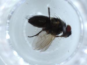  ( - BIOUG54546-A01)  @11 [ ] CreativeCommons - Attribution (2020) Centre for Biodiversity Genomics Centre for Biodiversity Genomics