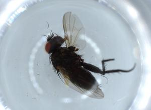  ( - BIOUG54734-A07)  @11 [ ] CreativeCommons - Attribution (2020) Centre for Biodiversity Genomics Centre for Biodiversity Genomics