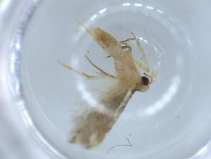  ( - BIOUG54744-F12)  @11 [ ] CreativeCommons - Attribution (2020) Centre for Biodiversity Genomics Centre for Biodiversity Genomics