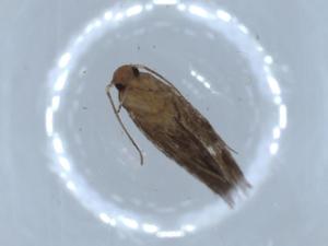  ( - BIOUG54748-D10)  @11 [ ] CreativeCommons - Attribution (2020) Centre for Biodiversity Genomics Centre for Biodiversity Genomics