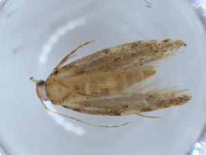  ( - BIOUG54748-H04)  @11 [ ] CreativeCommons - Attribution (2020) Centre for Biodiversity Genomics Centre for Biodiversity Genomics