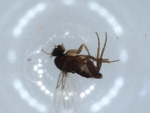  ( - BIOUG54472-D04)  @11 [ ] CreativeCommons - Attribution (2020) Centre for Biodiversity Genomics Centre for Biodiversity Genomics