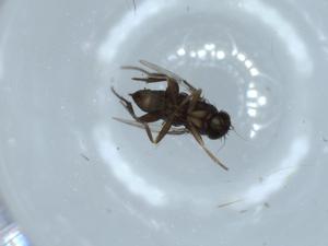  ( - BIOUG54842-C09)  @11 [ ] CreativeCommons - Attribution (2020) Centre for Biodiversity Genomics Centre for Biodiversity Genomics