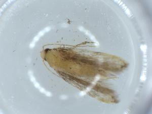  ( - BIOUG54848-E02)  @11 [ ] CreativeCommons - Attribution (2020) Centre for Biodiversity Genomics Centre for Biodiversity Genomics