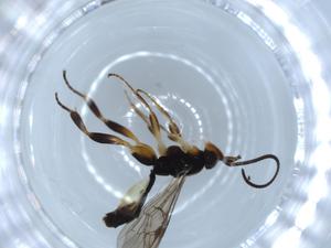  ( - BIOUG54662-H07)  @11 [ ] CreativeCommons - Attribution (2020) Centre for Biodiversity Genomics Centre for Biodiversity Genomics