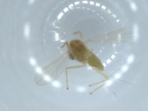  ( - BIOUG54665-C12)  @11 [ ] CreativeCommons - Attribution (2020) Centre for Biodiversity Genomics Centre for Biodiversity Genomics