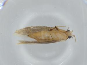  ( - BIOUG61462-E06)  @11 [ ] CreativeCommons - Attribution (2020) Centre for Biodiversity Genomics Centre for Biodiversity Genomics