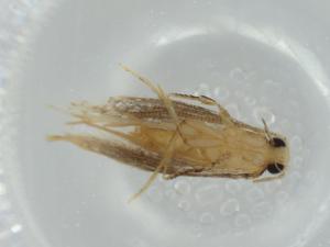  ( - BIOUG60590-E05)  @11 [ ] CreativeCommons - Attribution (2020) Centre for Biodiversity Genomics Centre for Biodiversity Genomics