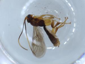  ( - BIOUG56022-H09)  @11 [ ] CreativeCommons - Attribution (2020) Centre for Biodiversity Genomics Centre for Biodiversity Genomics