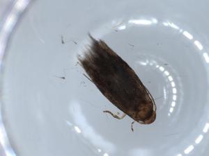  ( - BIOUG56315-H05)  @11 [ ] CreativeCommons - Attribution (2020) Centre for Biodiversity Genomics Centre for Biodiversity Genomics